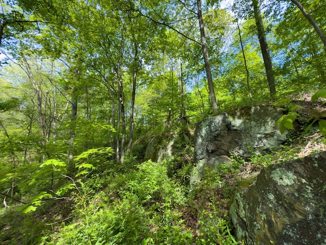 140 Sycamore St, Glouster, OH 45732 - view of undeveloped land
