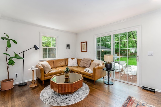 232 N Stanwood Rd, Columbus, OH 43209 - living room with ornamental molding, dark wood-type flooring, and baseboards