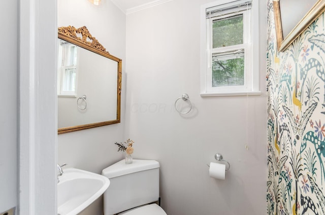 232 N Stanwood Rd, Columbus, OH 43209 - bathroom with toilet, a sink, and crown molding