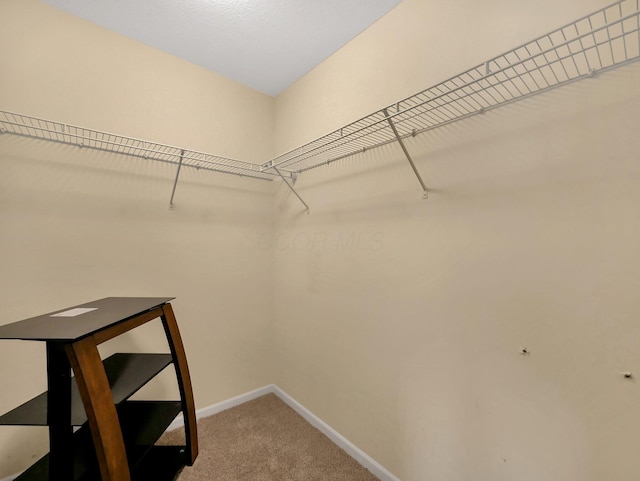 6010 Turnwood Dr Unit 703, Westerville, OH 43081 - walk in closet featuring carpet flooring