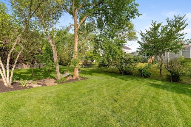 369 Highbanks Valley Ct, Newark, OH 43055 - view of green lawn