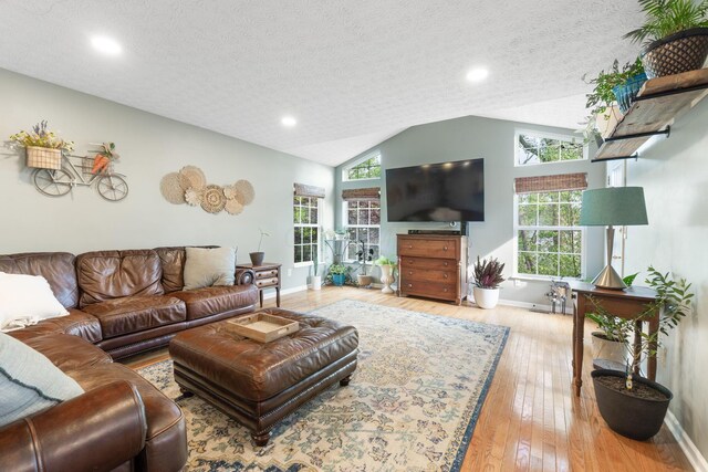 369 Highbanks Valley Ct, Newark, OH 43055 - living area featuring a textured ceiling, lofted ceiling, wood finished floors, and recessed lighting