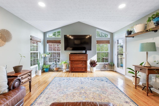 369 Highbanks Valley Ct, Newark, OH 43055 - living room featuring vaulted ceiling, wood finished floors, a textured ceiling, plenty of natural light, and recessed lighting