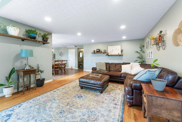 369 Highbanks Valley Ct, Newark, OH 43055 - living area with wood finished floors and recessed lighting