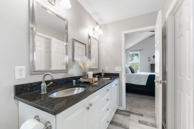 369 Highbanks Valley Ct, Newark, OH 43055 - bathroom with double vanity, vaulted ceiling, wood finished floors, a textured ceiling, and ensuite bathroom