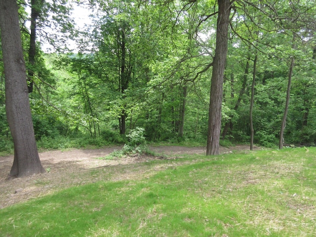 3814 London Hollow Rd NE, Newark, OH 43055 - view of yard with a wooded view
