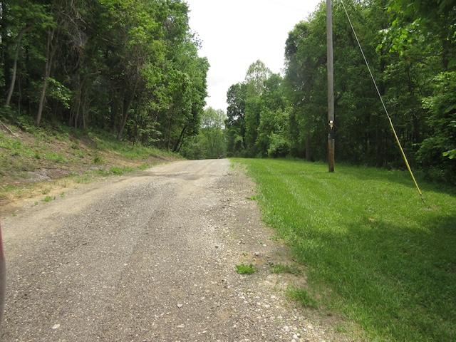 3814 London Hollow Rd NE, Newark, OH 43055 - view of dirt / gravel road featuring a view of trees
