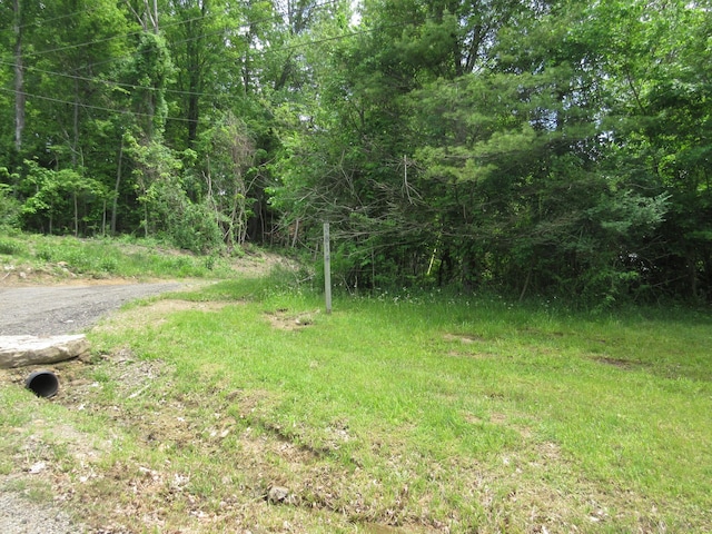 3814 London Hollow Rd NE, Newark, OH 43055 - view of street