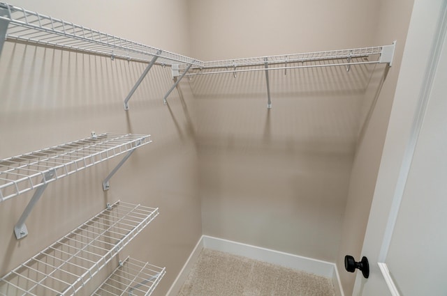 2589 Dayton Ave, Columbus, OH 43202 - walk in closet featuring carpet floors