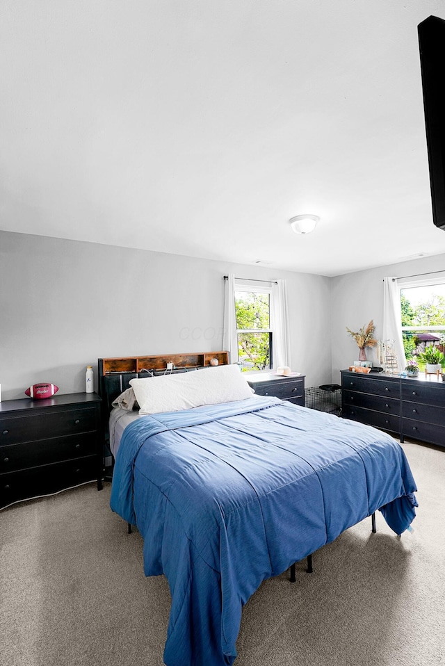 1081 Harrisburg Pike, Columbus, OH 43223 - view of carpeted bedroom