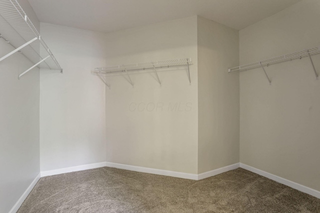 6874 Golden Way, Powell, OH 43065 - photo 31