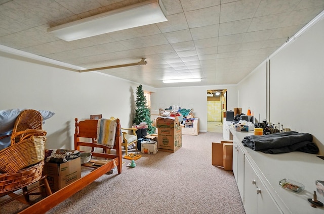 1120 Morning St, Worthington, OH 43085 - finished below grade area with light carpet