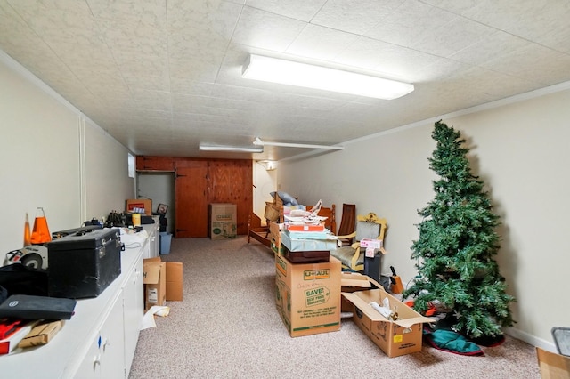 1120 Morning St, Worthington, OH 43085 - view of storage