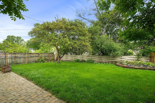 2314 Woodstock Rd, Columbus, OH 43221 - view of yard with a patio