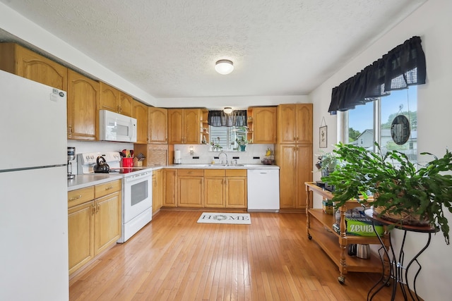 5046 Rolling Rock Ct, Columbus, OH 43229 - kitchen with white appliances, a sink, light wood-type flooring, open shelves, and a textured ceiling