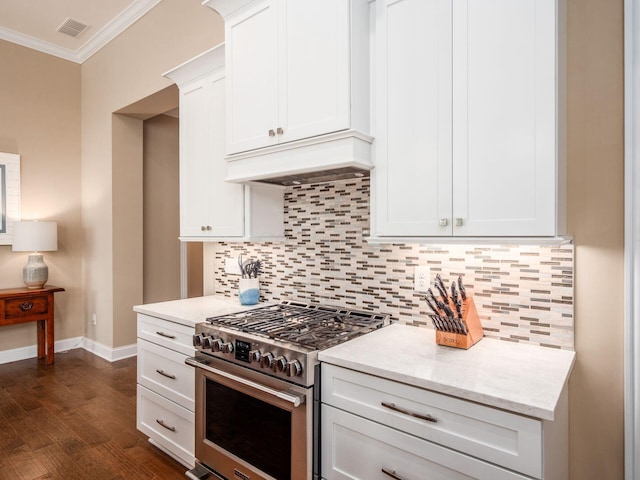 11465 Canby Ct, Plain City, OH 43064 - kitchen featuring high end stove, ornamental molding, decorative backsplash, premium range hood, and baseboards