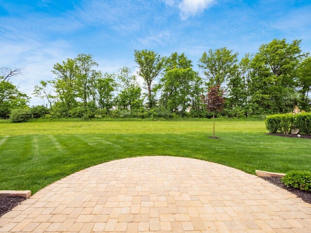11465 Canby Ct, Plain City, OH 43064 - view of green lawn featuring a patio