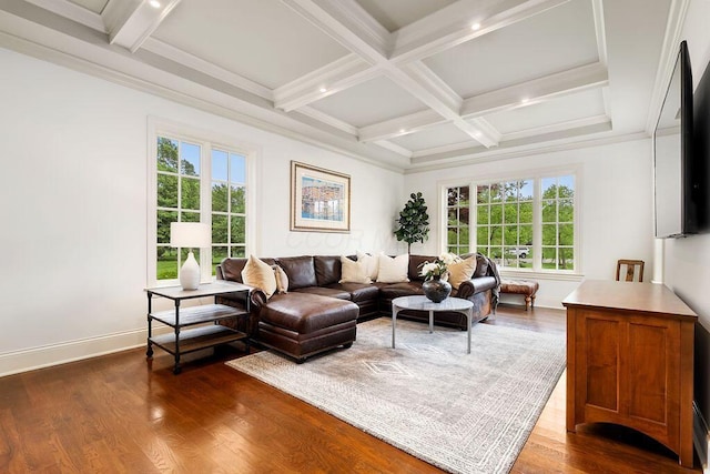 2989 Old Path Rd, Blacklick, OH 43004 - living room featuring healthy amount of natural light, beam ceiling, baseboards, dark wood-style flooring, and coffered ceiling
