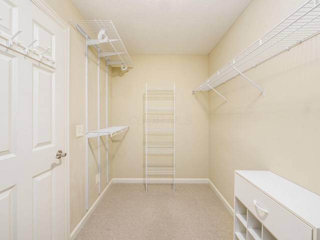 6628 Dalmore Ln, Dublin, OH 43016 - spacious closet with carpet
