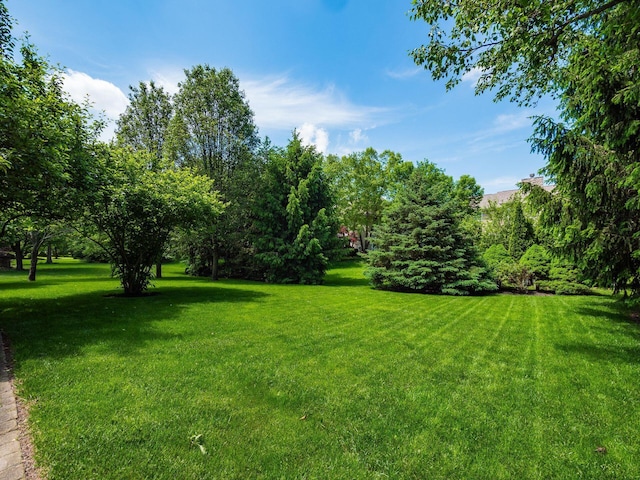6628 Dalmore Ln, Dublin, OH 43016 - view of green lawn