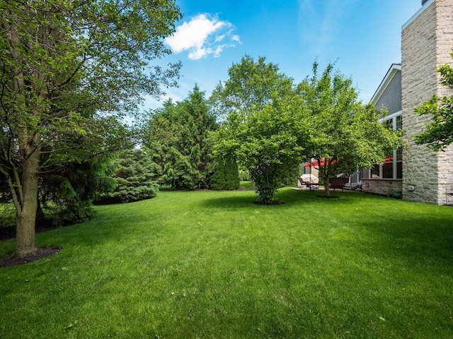 6628 Dalmore Ln, Dublin, OH 43016 - view of green lawn