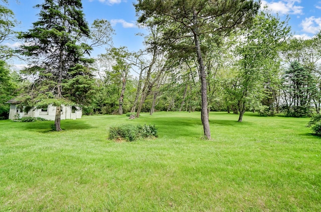 1276 Staunton Sugar Grove Rd, Washington Court House, OH 43160 - photo 31