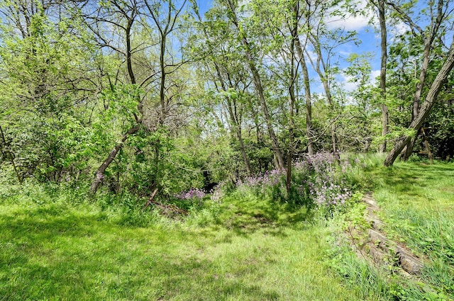 1276 Staunton Sugar Grove Rd, Washington Court House, OH 43160 - photo 34