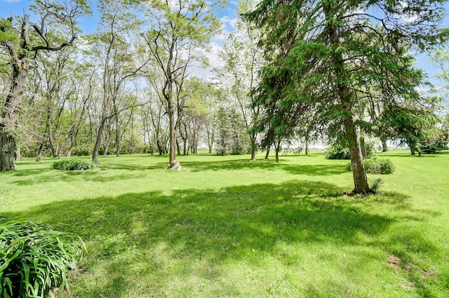 1276 Staunton Sugar Grove Rd, Washington Court House, OH 43160 - photo 37