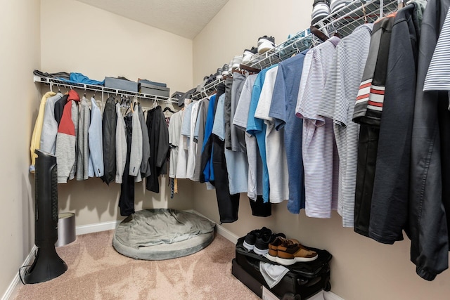 spacious closet featuring carpet