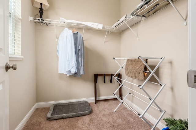 walk in closet with carpet