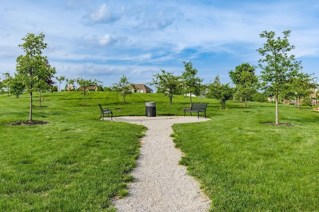view of property's community featuring a yard