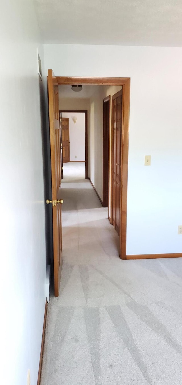 4993 Shadycrest Rd, Columbus, OH 43229 - corridor with light colored carpet and baseboards