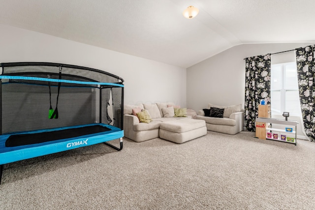 417 Oakland Hills Loop, Commercial Point, OH 43116 - carpeted living room featuring vaulted ceiling