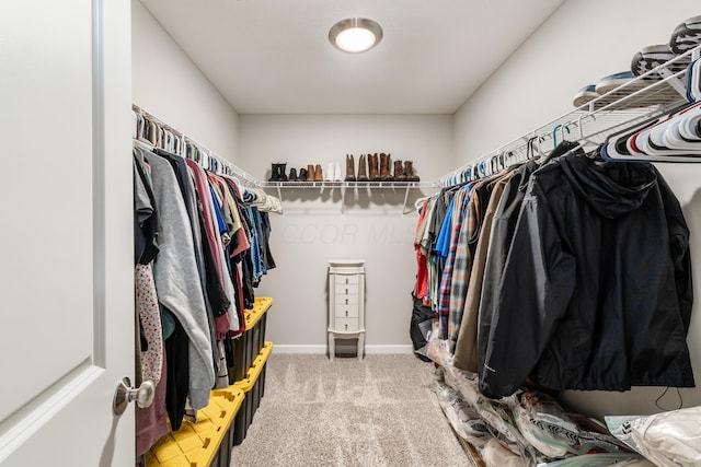 417 Oakland Hills Loop, Commercial Point, OH 43116 - walk in closet with carpet floors