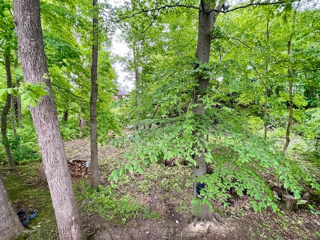 346 Instone Dr, Reynoldsburg, OH 43068 - view of undeveloped land