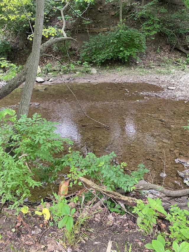 346 Instone Dr, Reynoldsburg, OH 43068 - view of nature