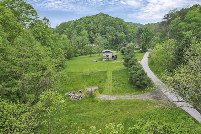 23587 Woltz Rd, Rockbridge, OH 43149 - drone / aerial view of a forest