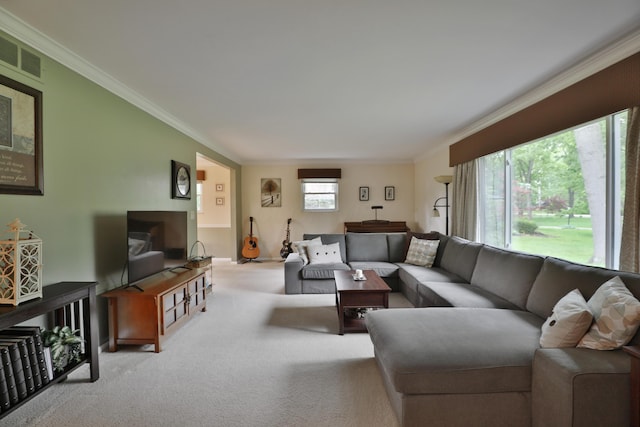 6653 Merwin Rd, Columbus, OH 43235 - carpeted living room with crown molding