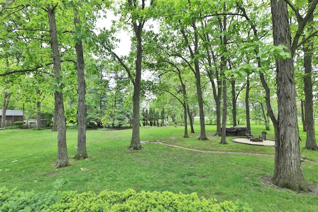 6653 Merwin Rd, Columbus, OH 43235 - view of grassy yard