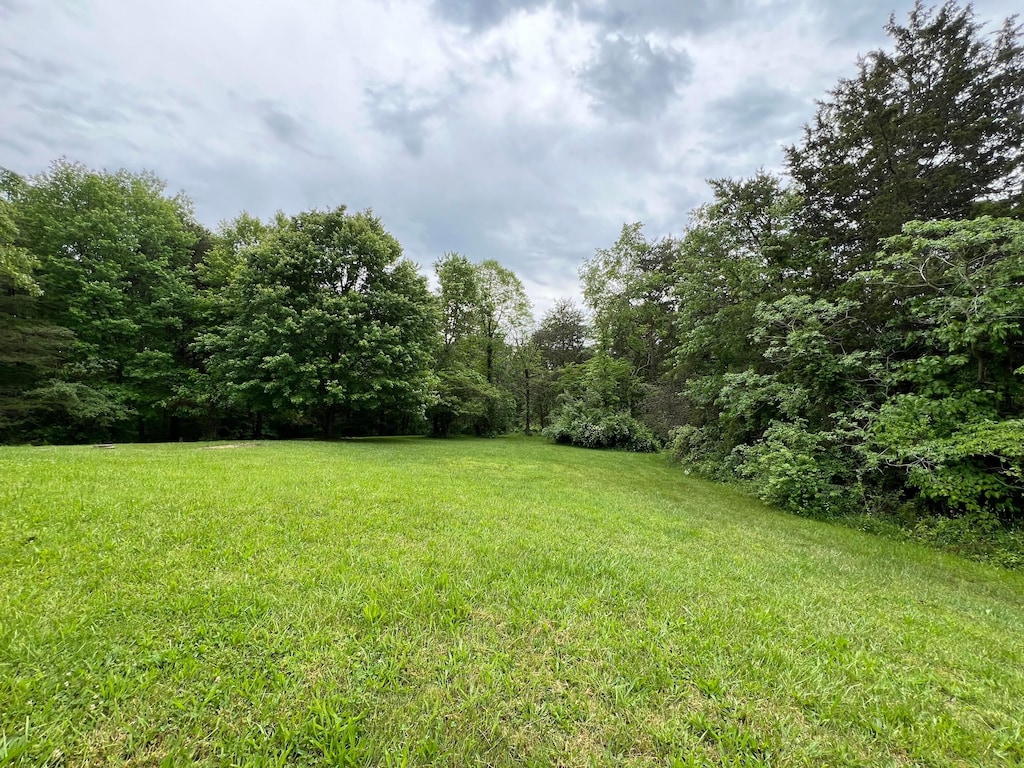 1904 Thornton-Spung Rd, Kingston, OH 45644 - view of green lawn with a wooded view