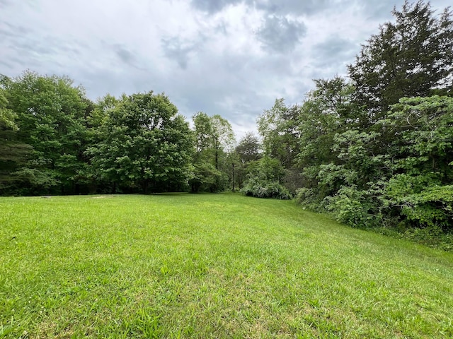 1904 Thornton-Spung Rd, Kingston, OH 45644 - view of green lawn with a wooded view