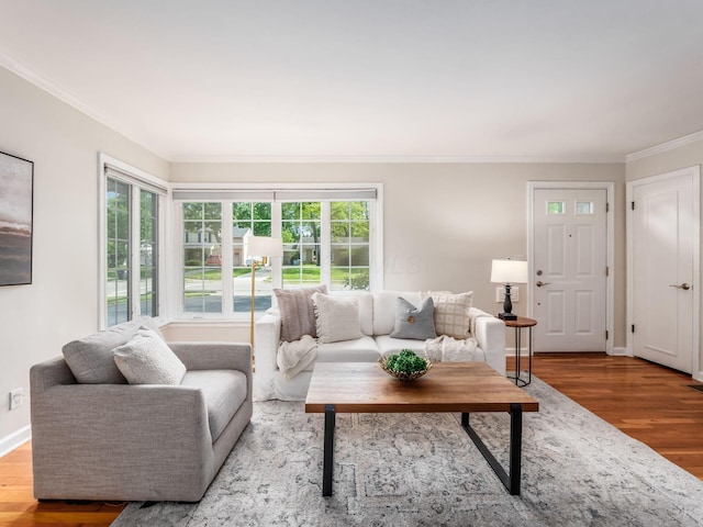 2356 Swansea Rd, Columbus, OH 43221 - living room featuring crown molding, wood finished floors, and baseboards