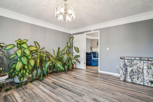 1536 Mulligan Ct, Reynoldsburg, OH 43068 - spare room with wood finished floors, a chandelier, a textured ceiling, crown molding, and baseboards