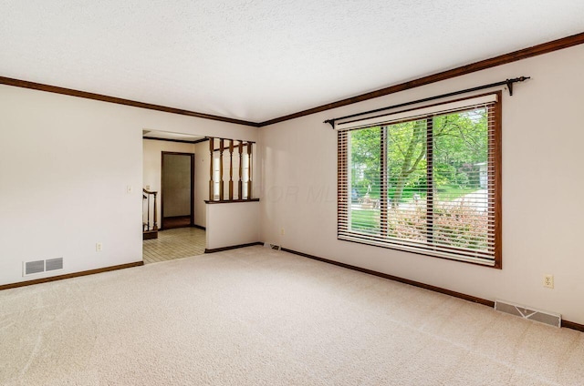 665 Northbridge Ct, Westerville, OH 43081 - spare room featuring baseboards, light carpet, crown molding, and a textured ceiling
