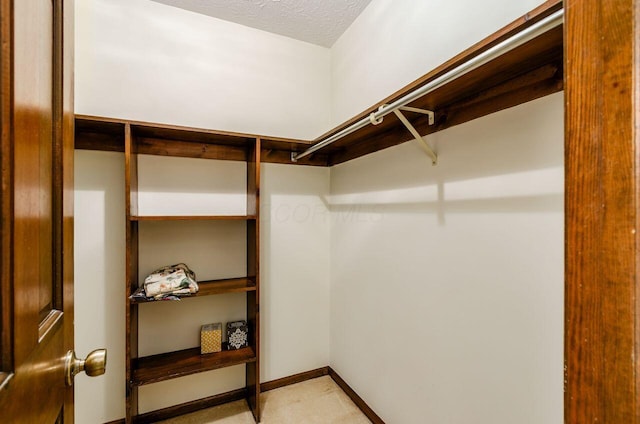 665 Northbridge Ct, Westerville, OH 43081 - view of walk in closet