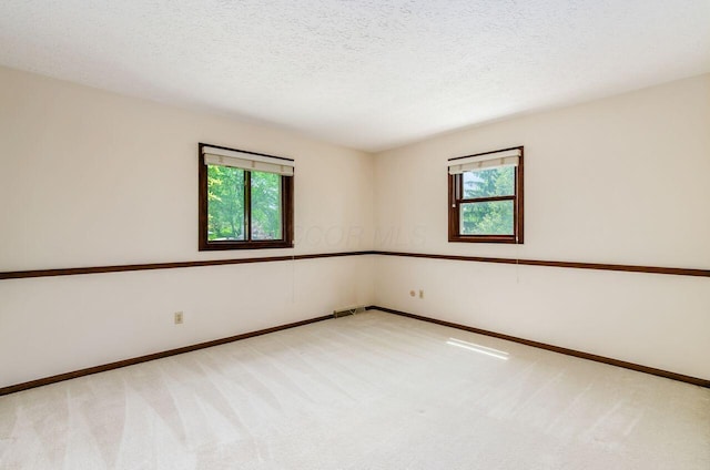 665 Northbridge Ct, Westerville, OH 43081 - empty room featuring healthy amount of natural light, carpet flooring, baseboards, and a textured ceiling