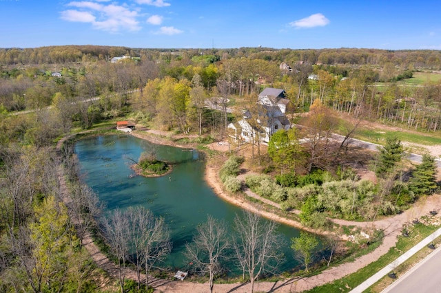 9015 Fox Field Path, Plain City, OH 43064 - bird's eye view of a heavily wooded area and a large body of water
