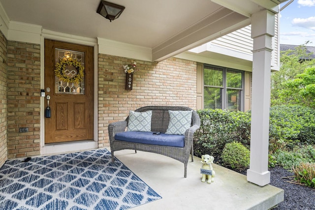 1009 Tall Tree Ct, Westerville, OH 43081 - entrance to property featuring brick siding and covered porch