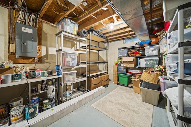 1009 Tall Tree Ct, Westerville, OH 43081 - storage with electric panel