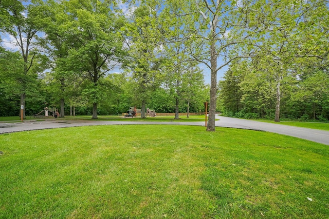 651 Dovalon Pl, Galloway, OH 43119 - view of green lawn with curved driveway